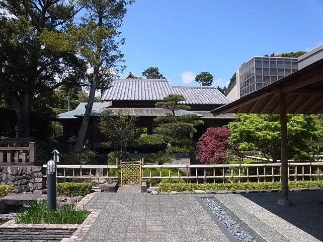 全景