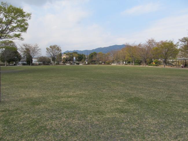 芝生広場