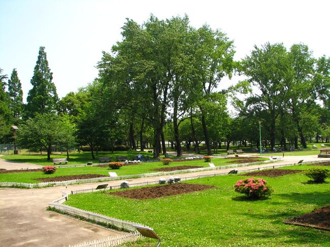駿府公園内