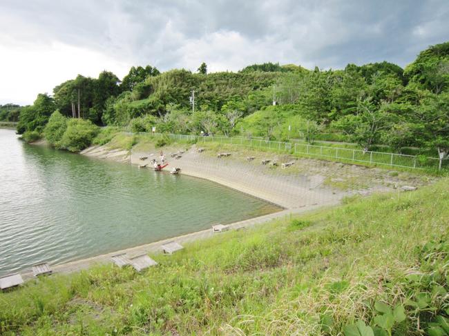 親水護岸