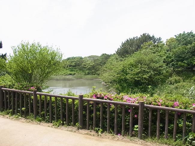 遠州灘海浜公園　中田島北地区　自然生態観察園