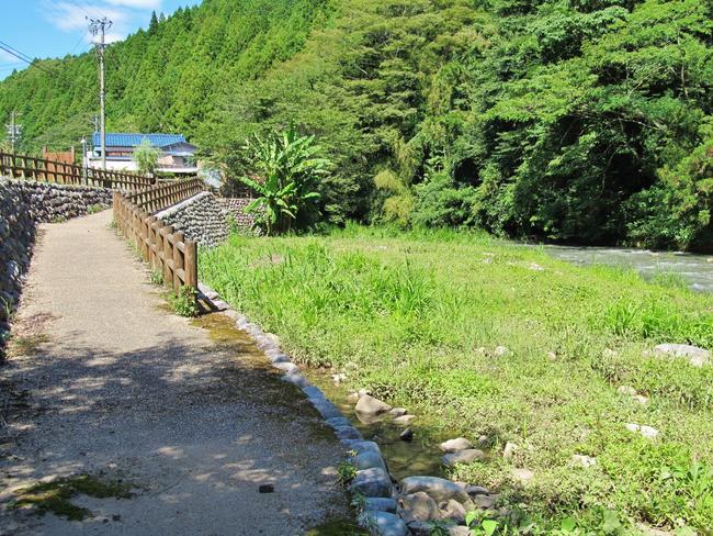 カワセミの広場下