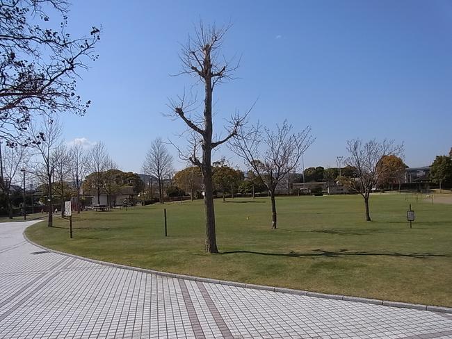 芝生広場
