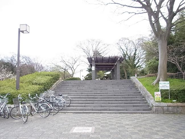 入口