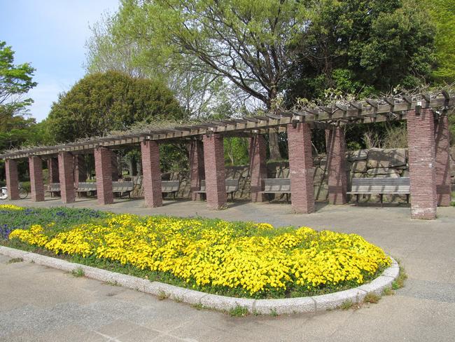 花壇