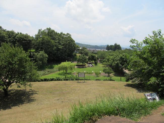 高台から