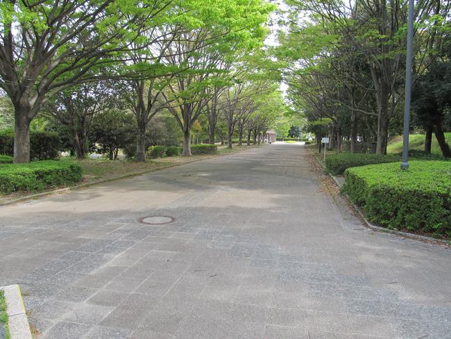 公園内歩道