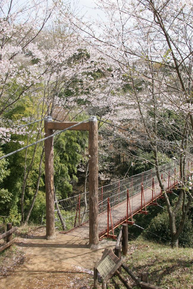 駿河