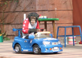 シャボテン公園２