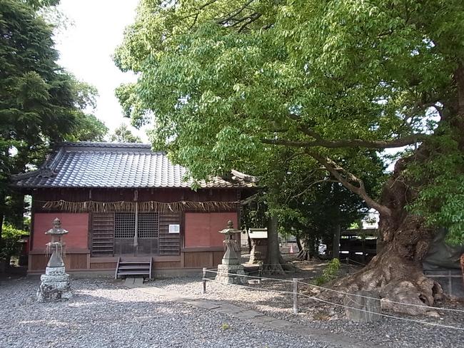 社殿と御神木