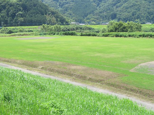 グラウンド