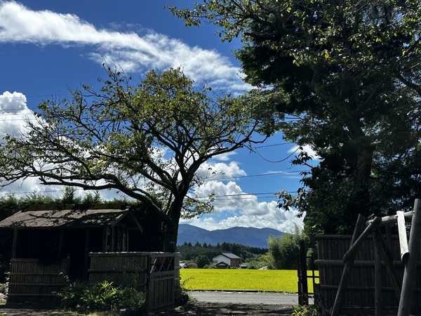 門から見える景色