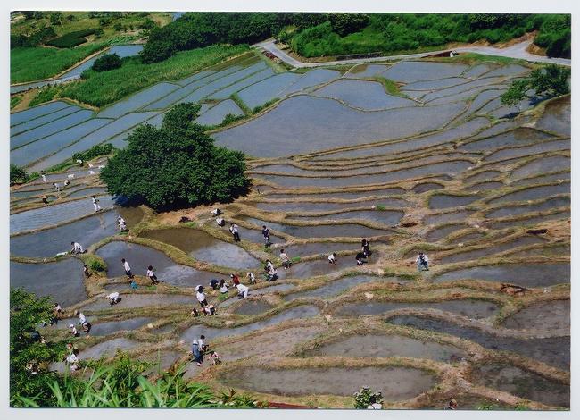 上倉沢棚田