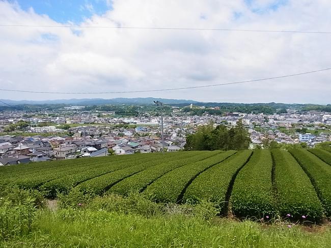 まちの見える丘からの展望