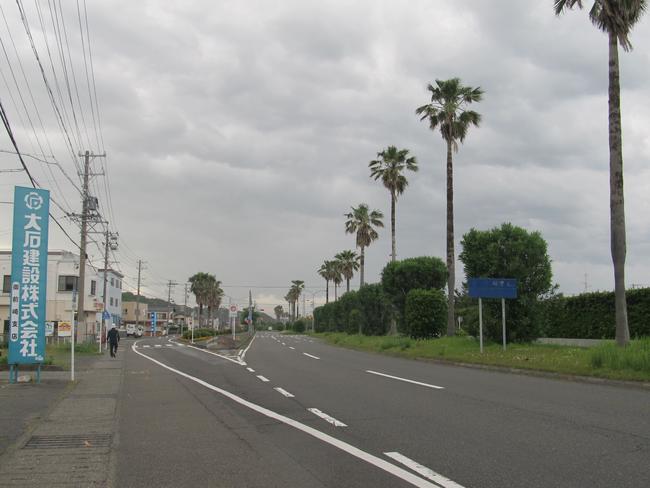 港内道路11号線（ヤシの木通り）　南側から