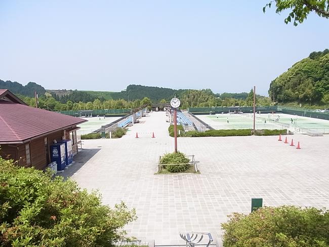 全景