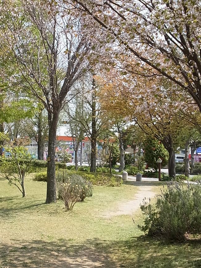 遊歩道