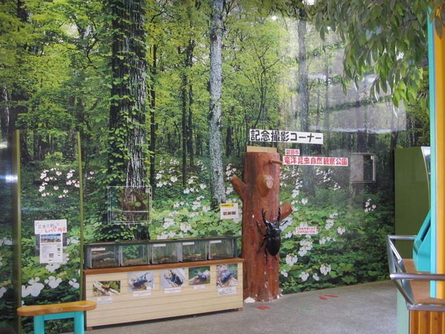 企画展示室