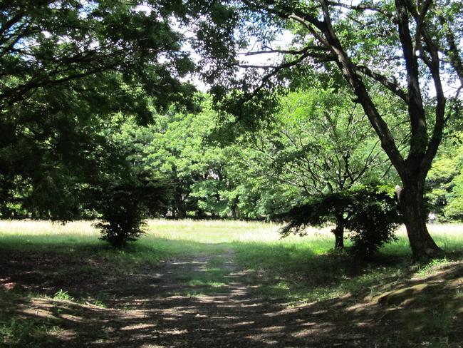 長者屋敷遺跡　入口より