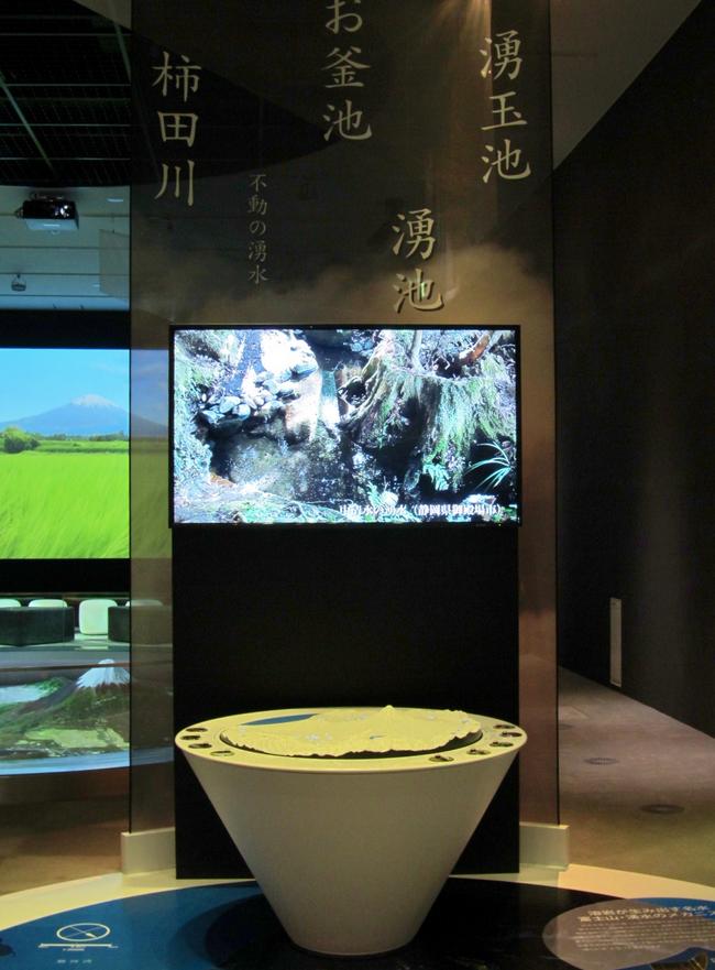 展示物
