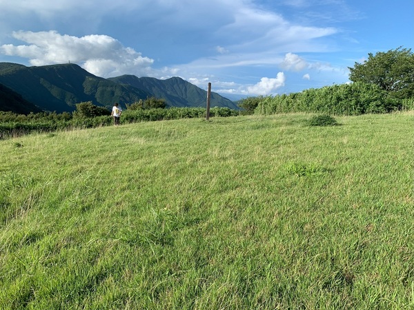 公園内