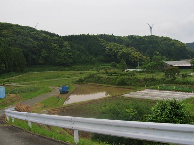 道路より