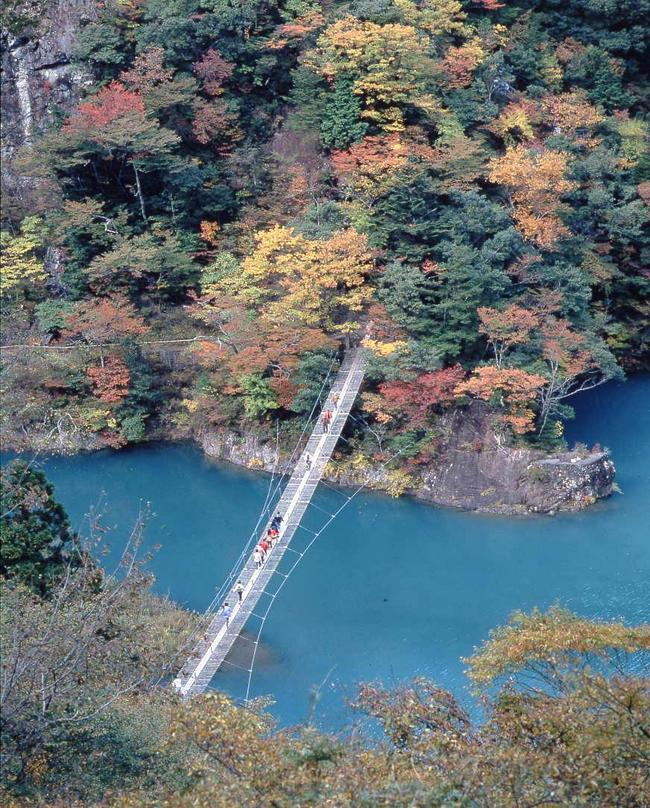 夢の吊り橋