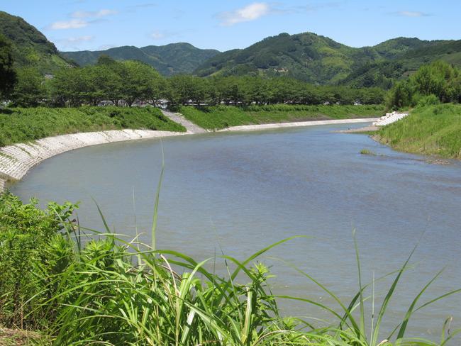 朝比奈川上流