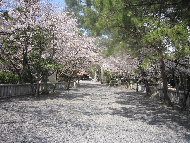 参道