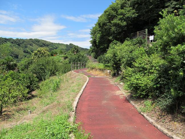 大岩稲荷神社付近