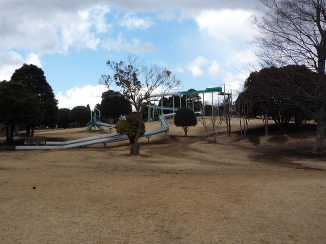 運動公園(芝生の丘)