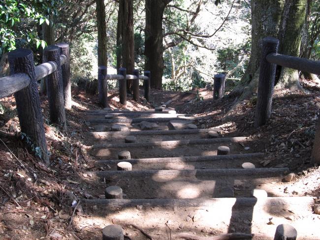 登山道・階段