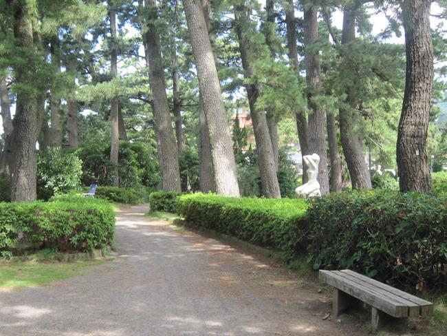 松林
