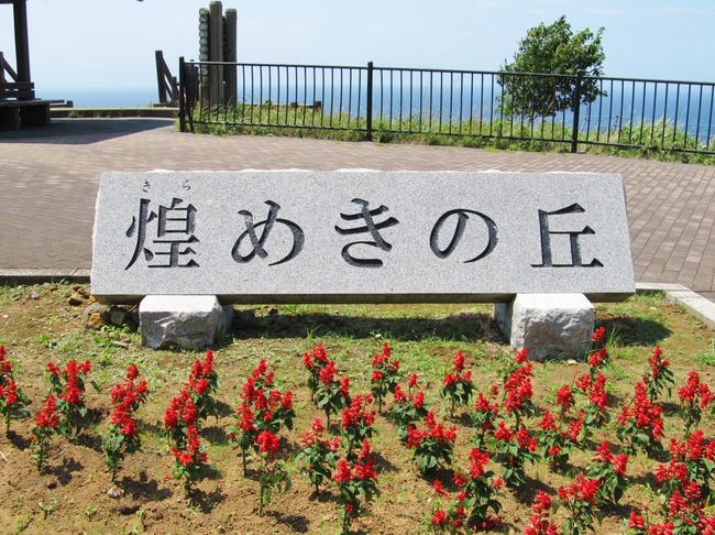 煌めきの丘　花壇