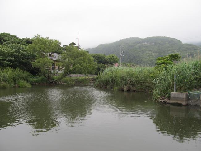 池　北側