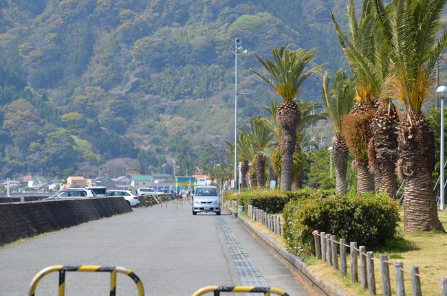 沿岸道路
