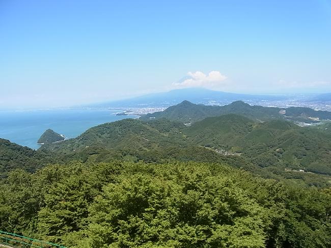 展望台から