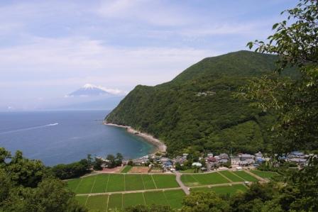 井田地区