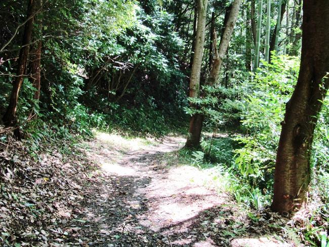 山道