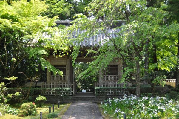寺5