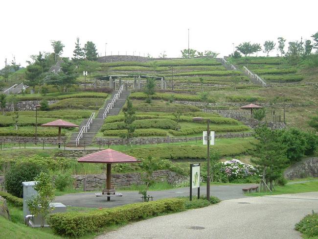 藤枝総合運動公園（花と水のテラス）