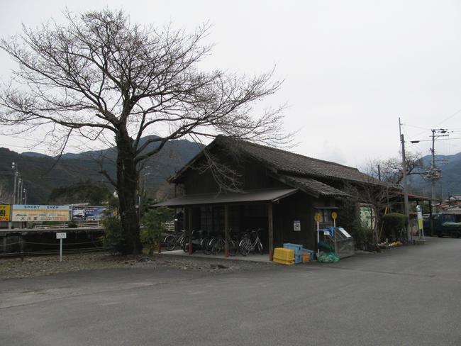 駅舎と木