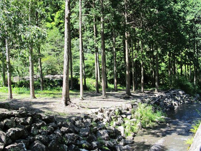 木陰・川辺