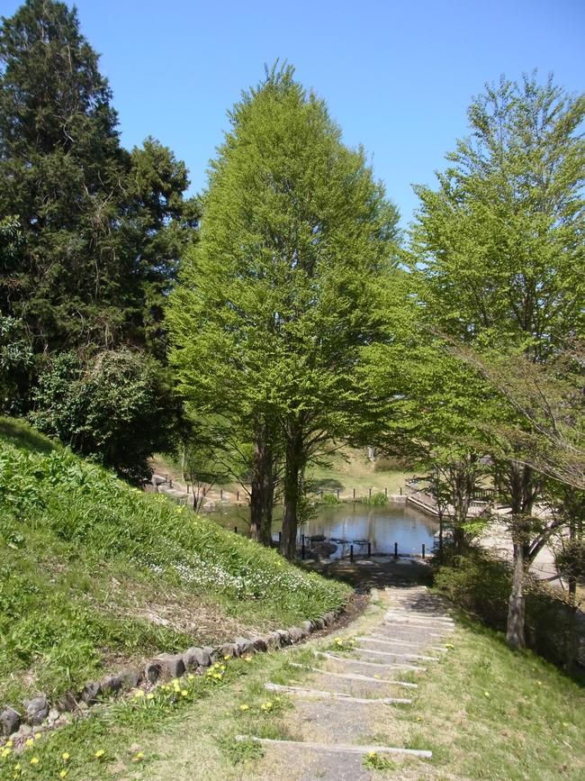 池