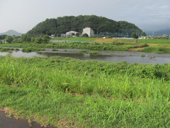 狩野川背後の守山