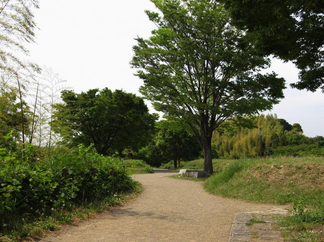 尾根上平坦地