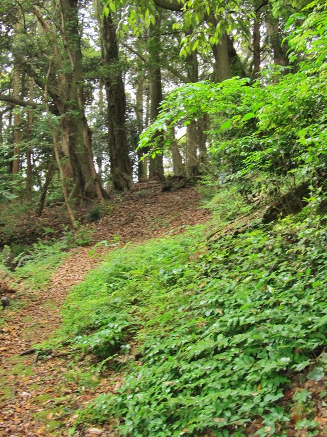 山道