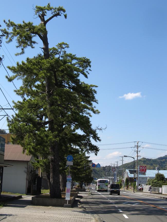 岡部営業所付近