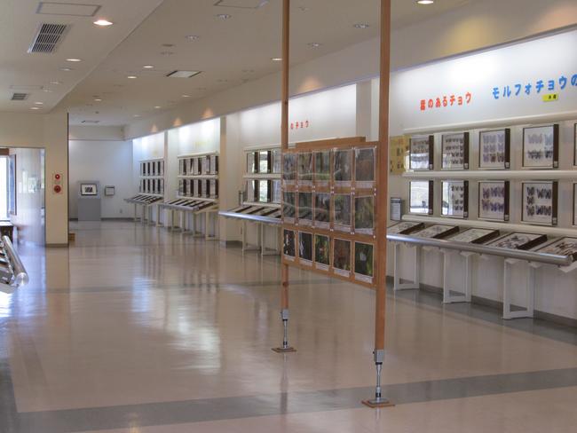 2階標本展示室