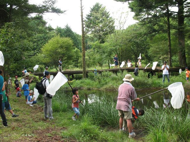 湿性の森